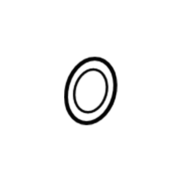 Volkswagen Coolant Pipe Seal - WHT-000-862