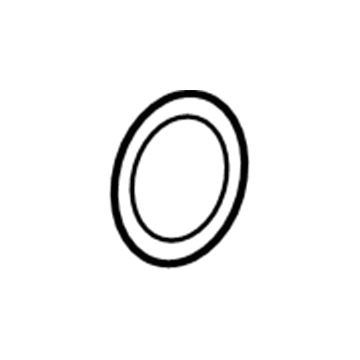 Volkswagen Coolant Pipe Seal - WHT-005-190