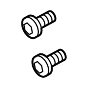 Volkswagen Eos Door Screws - WHT-000-517