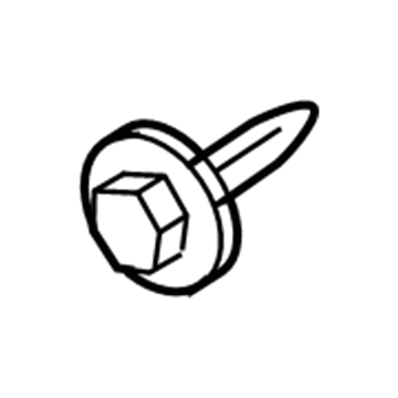 Volkswagen Routan Door Screws - WHT-004-551