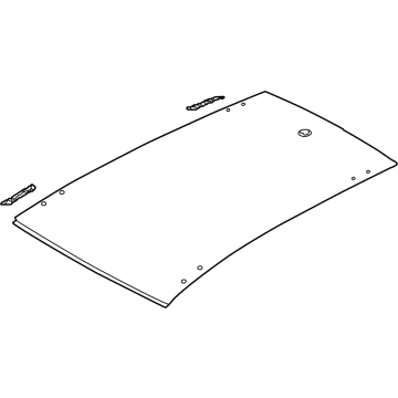 Volkswagen 2GJ-817-101 Roof Panel