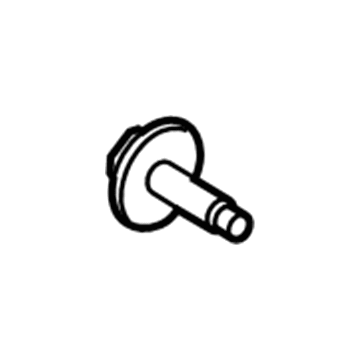 Volkswagen Routan Door Screws - WHT-004-483