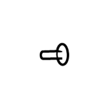 Volkswagen Routan Door Screws - WHT-004-422