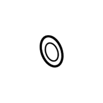 Volkswagen N-900-411-02 Timing Cover O-Ring