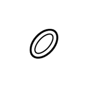 Volkswagen WHT-001-018-A Upper Pipe Seal