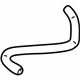 Volkswagen 1J0-121-096-BM Hose