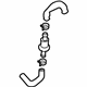 Volkswagen 7L6-121-086 Water Hose Assembly