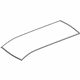 Volkswagen 3AF-817-111 Roof Panel