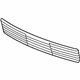 Volkswagen 3B0-853-677-E-B41 Lower Grille