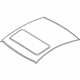 Volkswagen 3B9-817-101-H Roof Panel