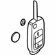 Volkswagen 3D0-959-753-AP-INF Key