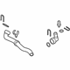 Volkswagen 3C0-122-051-CD Lower Hose