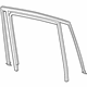 Volkswagen 3CN-839-431-B-5AP Run Weatherstrip
