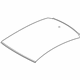 Volkswagen 3G8-817-111 Roof Panel