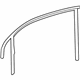 Volkswagen 1K5-837-643-B Frame Molding