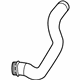 Volkswagen 7P0-145-738 Lower Hose Volkswagen 7P0-145-738 Lower Hose