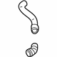 Volkswagen 1J0-122-101-BL Upper Hose Volkswagen 1J0-122-101-BL Upper Hose
