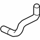Volkswagen 1K0-121-096-AE Lower Hose Volkswagen 1K0-121-096-AE Lower Hose