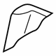 Volkswagen 1E0-885-775-C Seat Back Pad Volkswagen 1E0-885-775-C Seat Back Pad