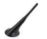 Volkswagen Jetta Antenna