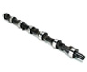 Volkswagen Camshaft