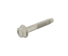 Volkswagen Idler Pulley Bolt
