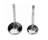 Volkswagen Intake Valve