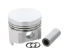 Volkswagen Piston