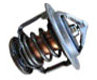 Volkswagen Thermostat