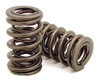 Volkswagen Jetta Valve Spring